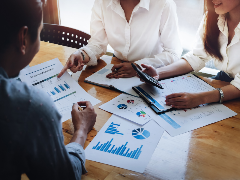 Government Subsidies & Finance